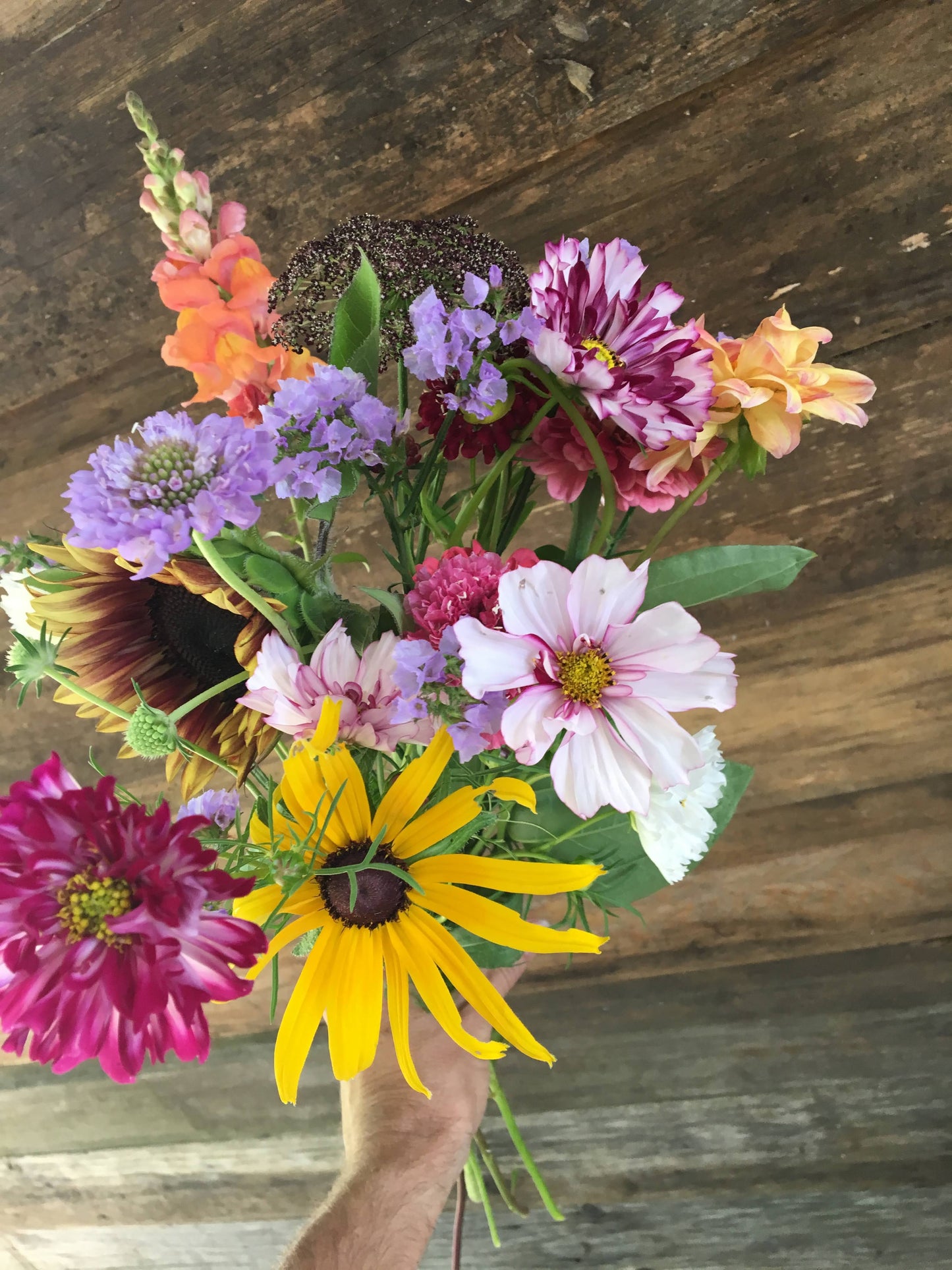 pre-paid & gift subcriptions