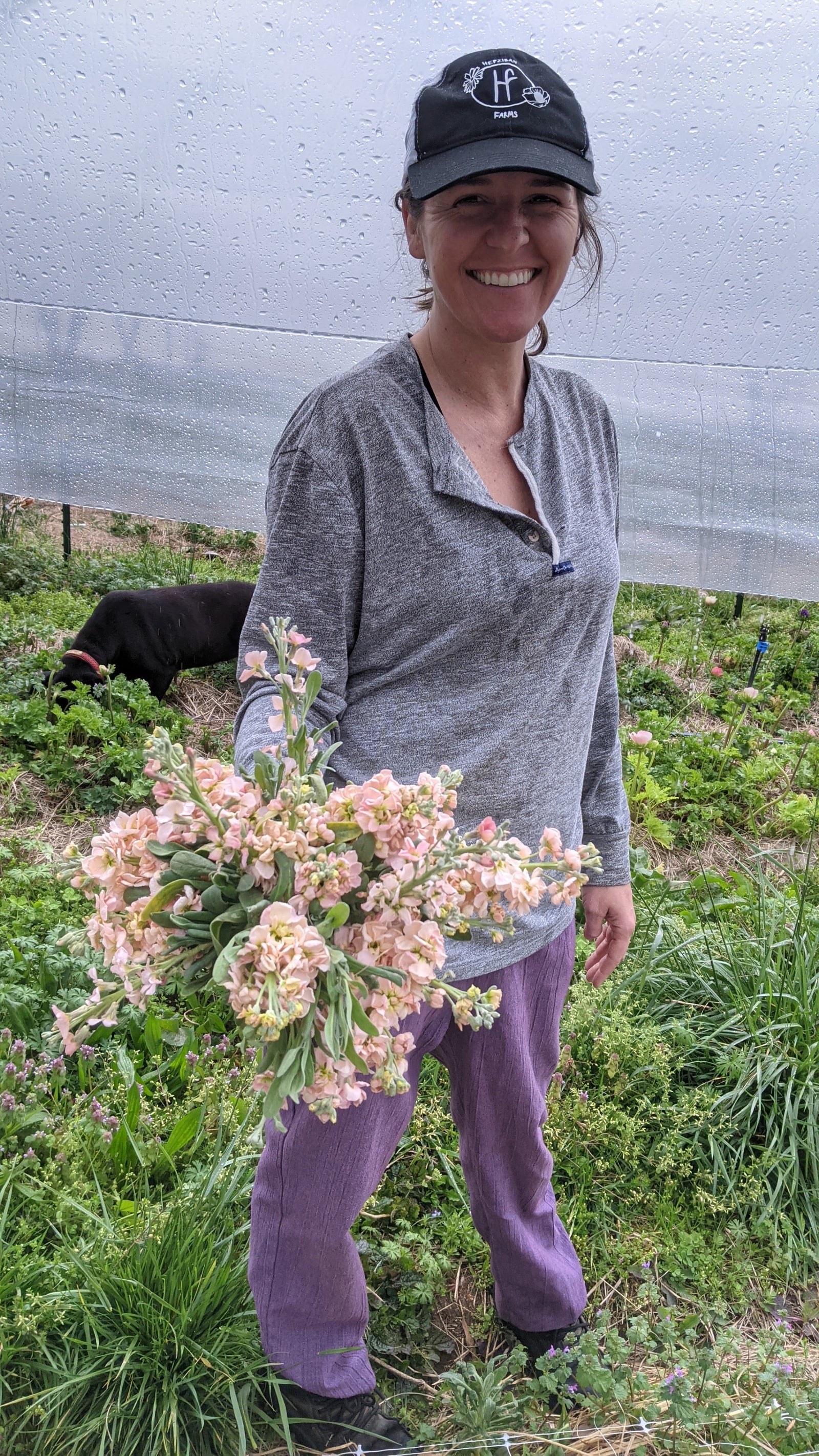 Hepzibah Farms photo 10