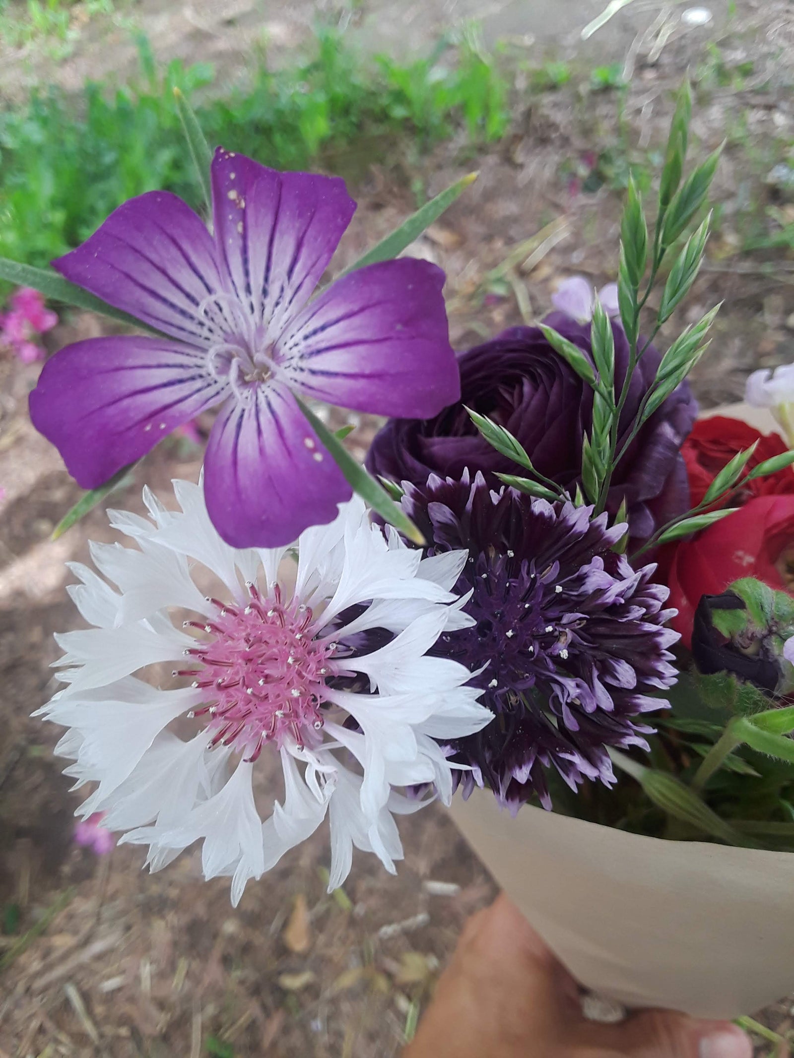 Hepzibah Farms photo 25