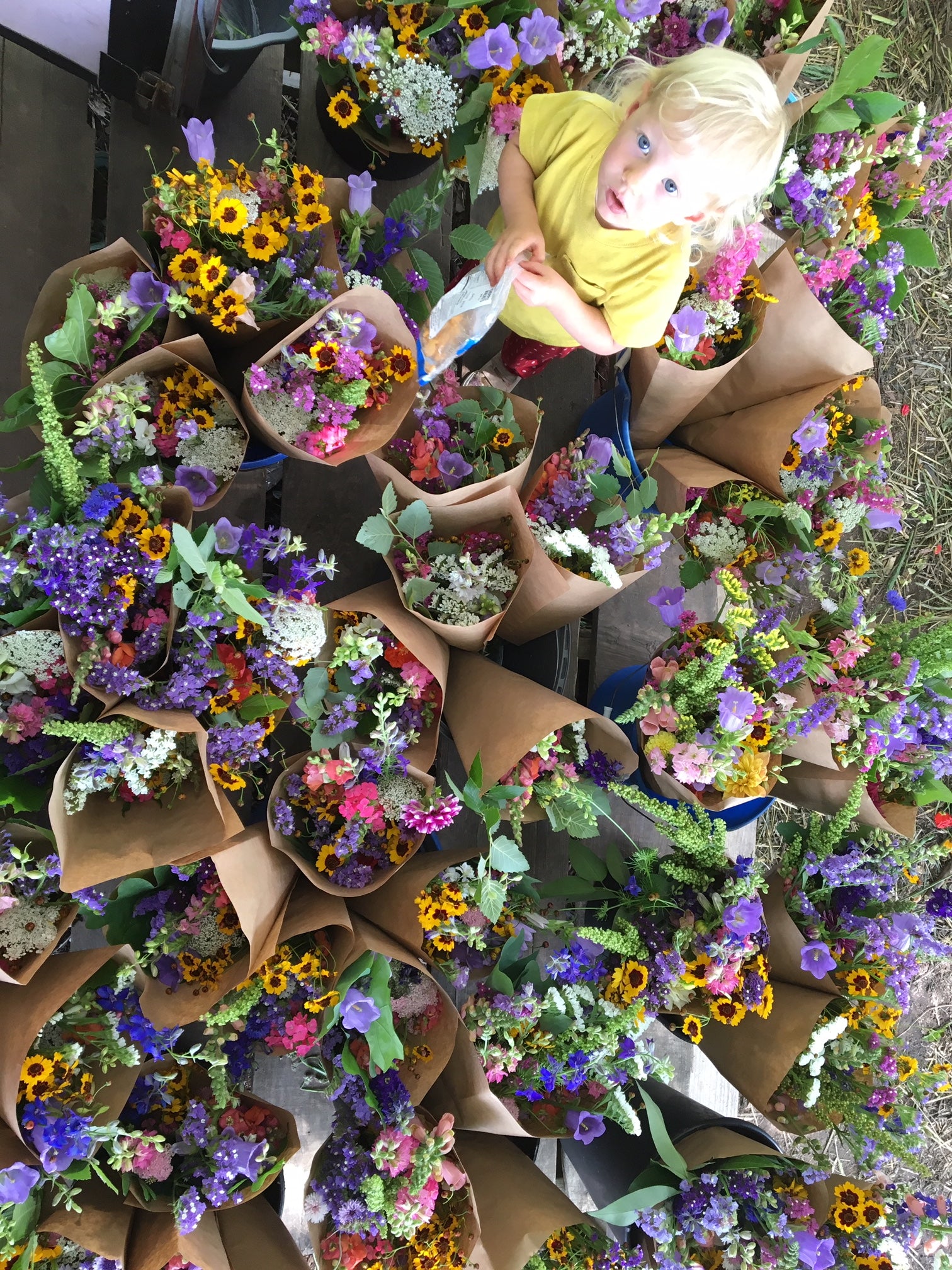 Hepzibah Farms photo 18